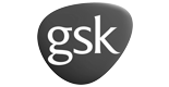 gsk_155_80
