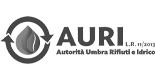 auri